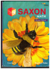 Saxon Math Student Edition Course 1 by Stephen Hake (Lot of 10 Graded G-VG)