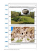 America the Beautiful: Timeline (2nd Edition)