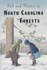 Fall & Winter in North Carolina Forests