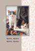 Birthday: Curious Kittens (Boxed Cards) 12-Pack