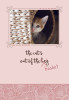 Birthday: Curious Kittens (Boxed Cards) 12-Pack