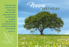 Birthday: God's Majesty (Boxed Cards) 12-Pack