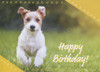 Birthday - Children: Fuzzy Friends (Boxed Cards) 12-Pack