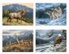 Birthday: Mountaintop Majesty (Boxed Cards) 12-Pack