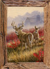 Birthday: White Tail Deer (Boxed Cards) 12-Pack