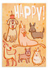Birthday: Cat and Dog Party (Boxed Cards) 12-Pack