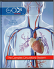The Complex Circulatory System by Lainna Callentine Master Books God's Wonderous Machine Series