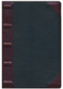 Study Bible, indexed, KJV (Imitation, Black/Burgundy two-tone w/zipper)