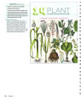 Biology, Teacher (6th edition)