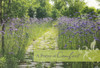 Sympathy: Pathways (Boxed Cards) 12-Pack [Faithfully Yours]