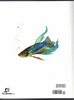 Life Science Lab Manual (Fourth Edition) BJU Press