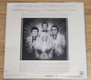 Radiance - The Roger Horn Trio Vinyl