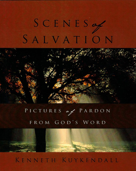 Scenes Of Salvation