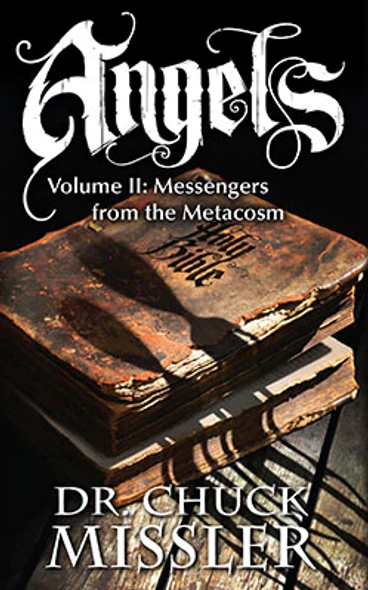 Angels, Vol. 2: Messengers from the Metacosm