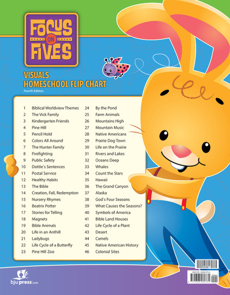 Focus on Fives - Visuals Homeschool Flip Chart (4th Edition)