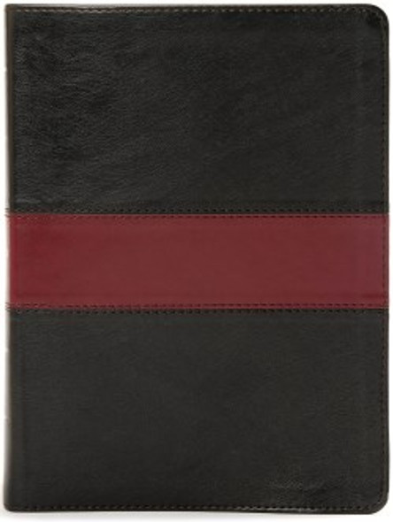 The Apologetics Study Bible, KJV (Imitation, Black/Red)