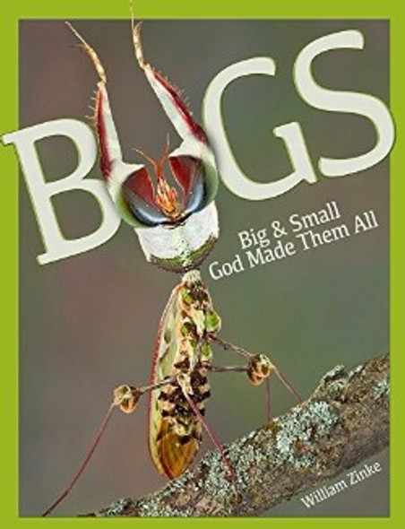 Bugs: Big and Small God Made Them All