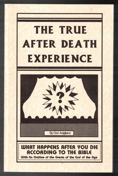 The True After Death Experience by Don Avigilano