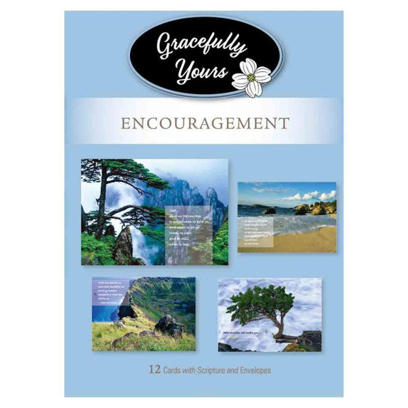 Encouragement: Positive Joy (Boxed Cards) 12 pack