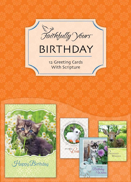 Birthday: Favorite Friends (Boxed Cards) 12-Pack