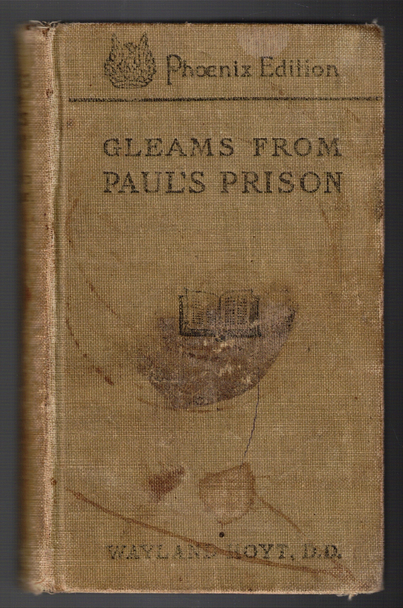 Gleams From Paul's Prison by Wayland Hoyt