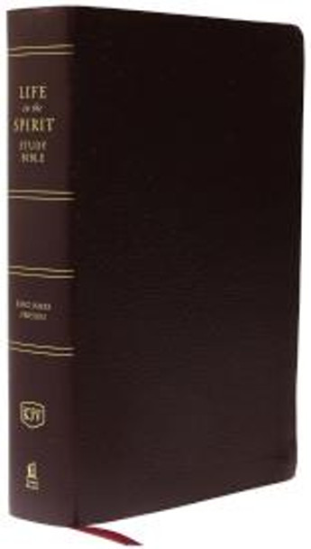 Life In The Spirit Study Bible, Indexed, KJV (Bonded Leather, Burgundy)