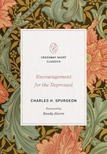 Encouragement For The Depressed