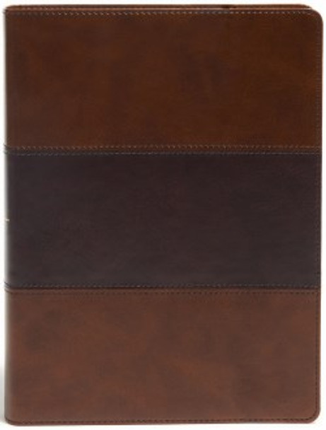 KJV Study Bible, Full Color, Indexed (Imitation, soft leather-look, Saddle Brown two-tone)