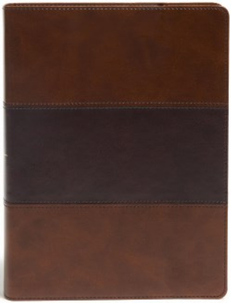 KJV Study Bible, Full Color (Imitation, soft leather-look, Saddle Brown two-tone)