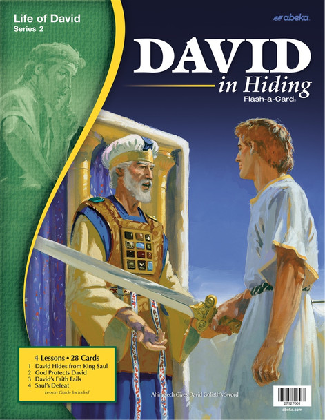 Life of David, Series 2: David in Hiding (Large Flashcards)