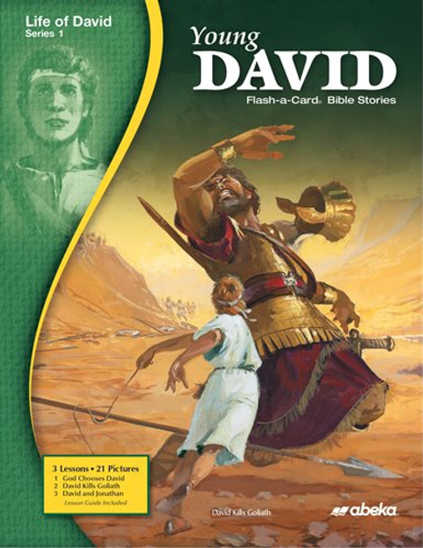 Life of David, Series 1: Young David (Flash-a-Card Bible Stories)