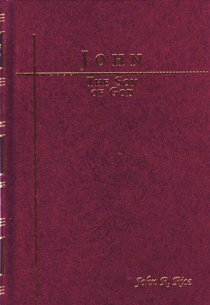 John: The Son of God (Hardback)