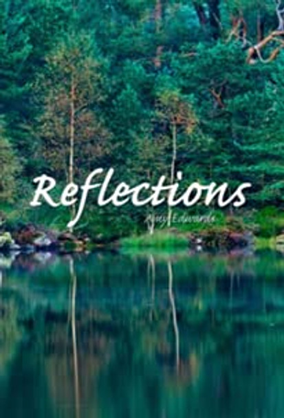 Reflections, Volume 2: Days 91 - 180