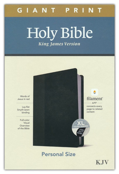 Giant Print Personal Size Bible: Filament Edition, Indexed (Black/Onyx Imitation Leather) KJV