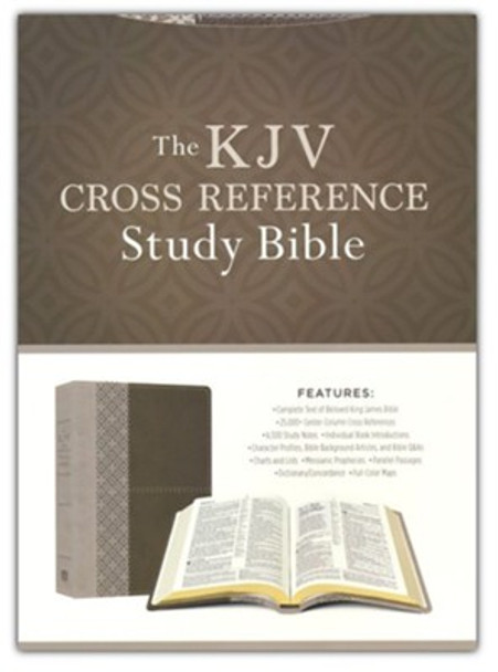 KJV Cross Reference Study Bible (Imitation, soft leather-look, Stone)