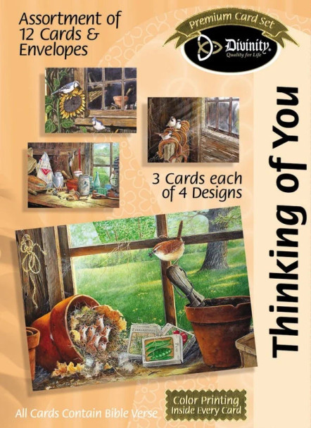 Thinking of You: Barn Windows (Boxed Cards) 12-Pack