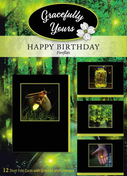 Birthday: Fireflies (Boxed Cards) 12-Pack