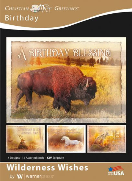 Birthday: Wilderness Wishes (Boxed Cards) 12-Pack