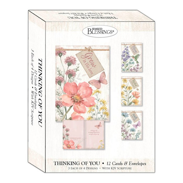 Thinking Of You: Peaceful Garden (Boxed Cards) 12-pack
