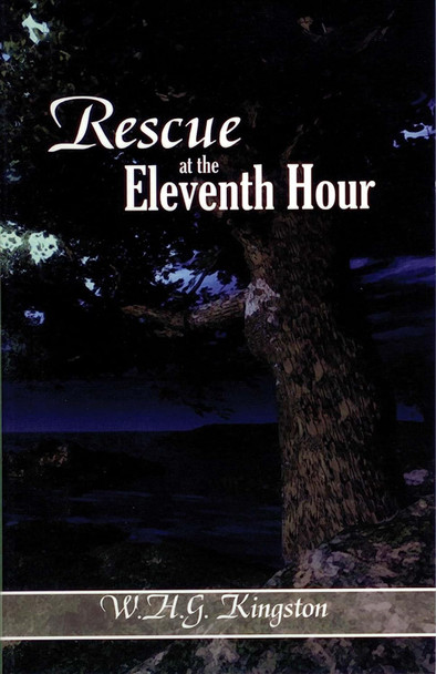 Rescue At The Eleventh Hour