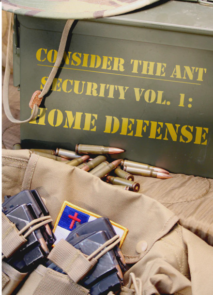 Consider The Ant: Home Defense DVD