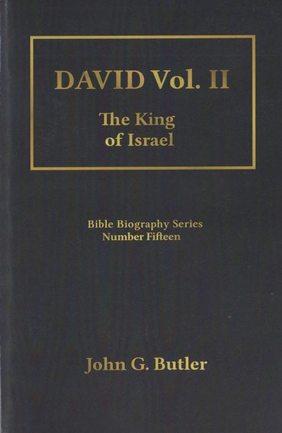 David: The King of Israel, Vol. 2 (Vol. 15)