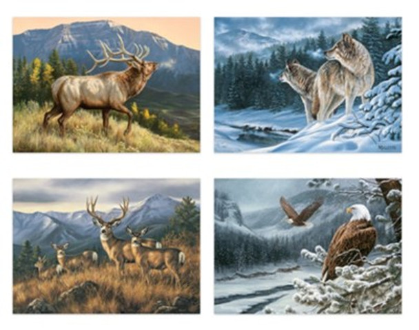 Birthday: Mountaintop Majesty (Boxed Cards) 12-Pack