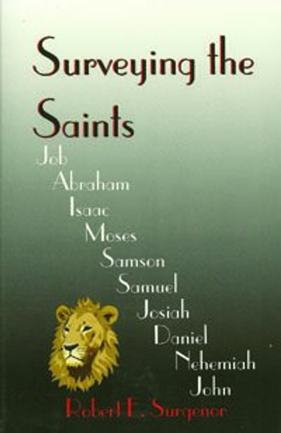 Surveying the Saints, by Surgenor [2004]