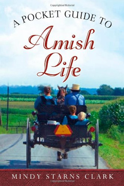 A Pocket Guide to Amish Life - Mindy Starns Clark