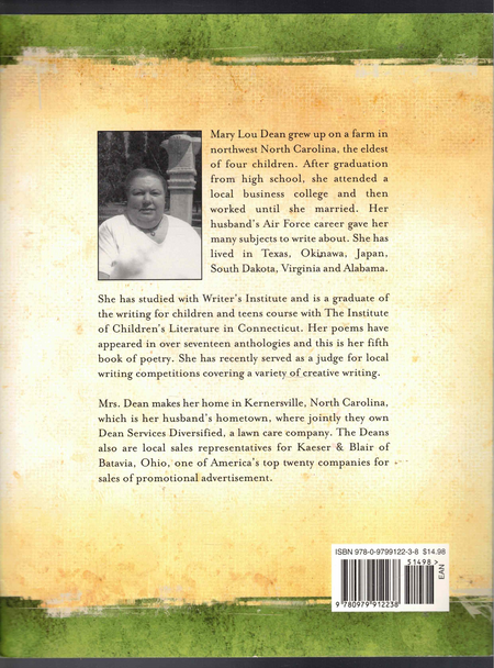 Sunshine and Shadow by Mary Lou Dean