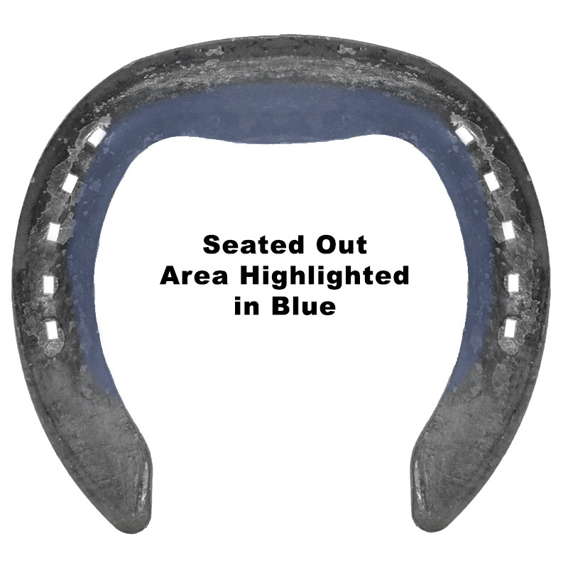 Steel Horseshoes Natural Balance Lite Sport Shoes EDSS Online Store