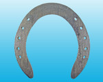 World Race Plate Hind (Foot Surface) World Race Plate Hind (Foot Surface)