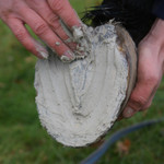 Field Paste used on sole Field Paste used on sole