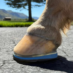 EasyShoe Triple D Glue-on Horseshoes